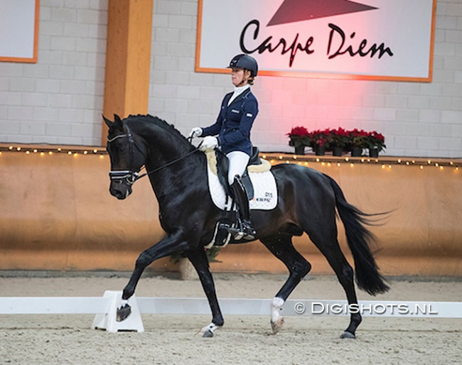 Adelinde Cornelissen and Grappa at the 2016 KWPN Stallion Competition qualifier in Kronenberg :: Photo © Digishots