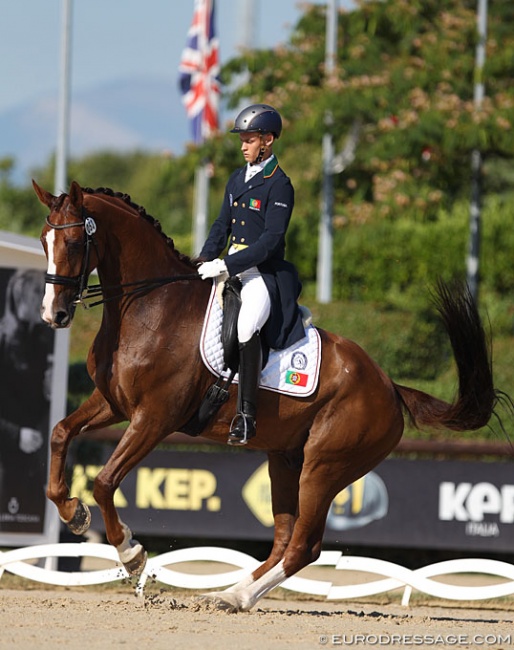 Francisco Vila Nova and Sir Saburo at the 2019 European Young Riders Championships :: Photo © Astrid Appels