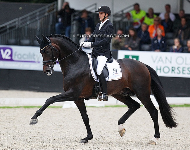 Andreas Helgstrand and Revolution at the 2019 World Young Horse Championships :: Photo © Astrid Appels