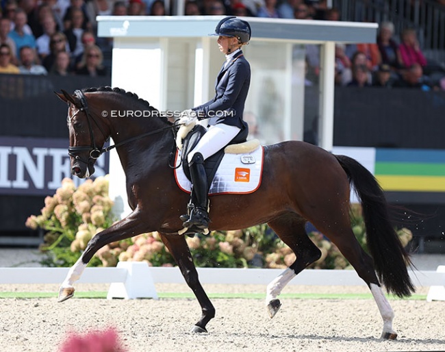 Kirsten Brouwer and Lightning Star RR at the 2022 World Young Horse Championships :: Photo © Astrid Appels