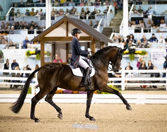 Ben Ebeling competing at 2023 Dressage at Devon :: Photo © Phelps Media Group