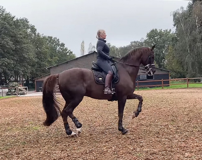 Anna Campanella at her Dutch base in The Netherlands with new ride, Chrevi's Ravello
