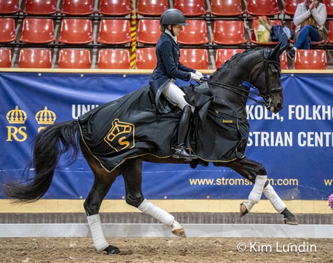 Third title in a row for Vendela Eriksdotter Rubin and Diploid (by Hesselhoj Donkey Boy x Topaasch) at the Swedish Warmblood Young Horse Championships :: Photo © Kim Lundin