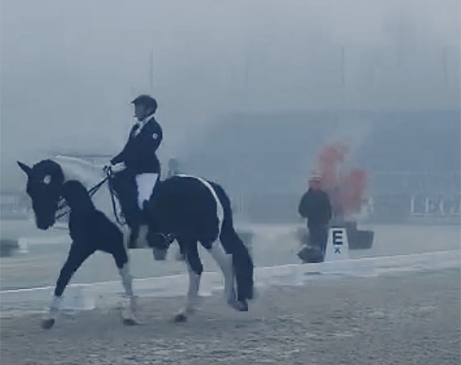 Noni Hartvikson competing Geronimo in foggy conditions in Langley, BC :: Photo © private