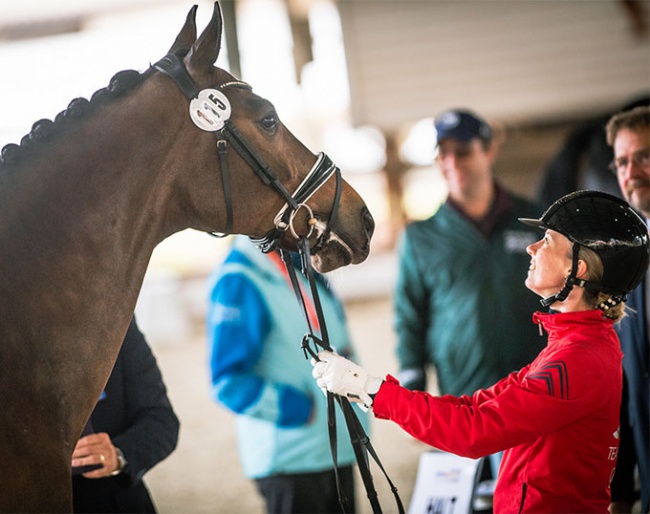 German born but riding for Chile, Svenja Grimm with Doctor Rossi at the second horse inspection for the 2023 Pan American Games :: Photo © FEI / Shannon Brinkman