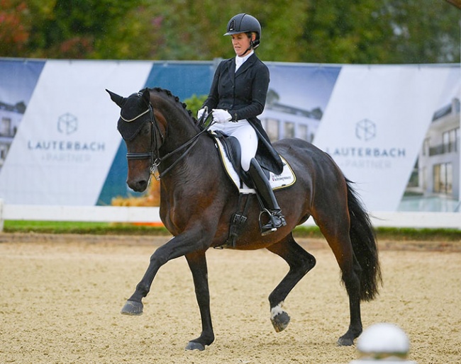 Alouette M (by Ampere x Sunny Boy)