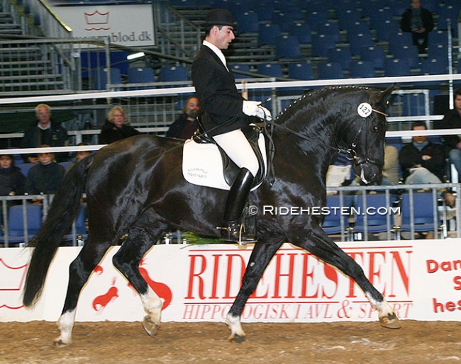 Nuno Palma e Santos on Depardieu at the 2004 Danish Warmblood stallion licensing in Herning :: Photo © Ridehesten