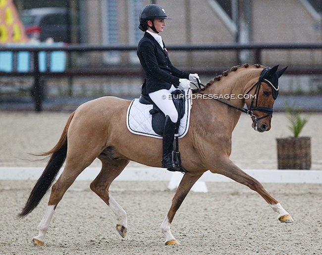 Josephine Gert Nielsen and Strandgaards Doleys at the 2022 CDI Opglabbeek :: Photo © Astrid Appels