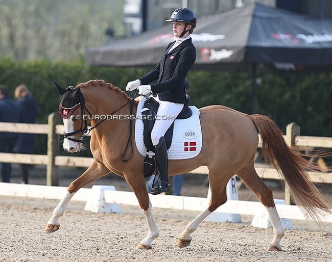 Andrea Hemann Sand on Golden Spring GH at the 2022 CDI Sint-Truiden :: Photo © Astrid Appels