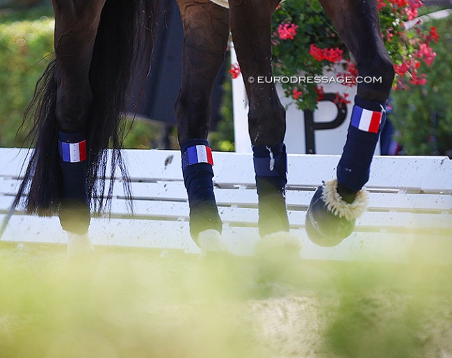 The French flag on polo wraps :: Photo © Astrid Appels