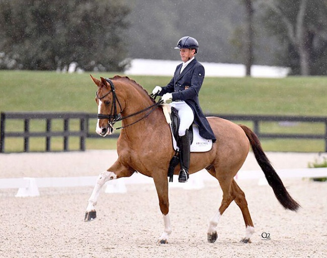 Christoph Koschel and Eddini at the 2023 CDI Ocala :: Photos © Q2 Photography