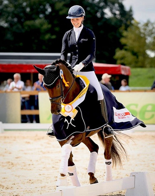 Sina Aringer and Barbor BS at the 2023 Hanoverian Young Horse Championships in Verden :: Photo © Hannoveraner Verband