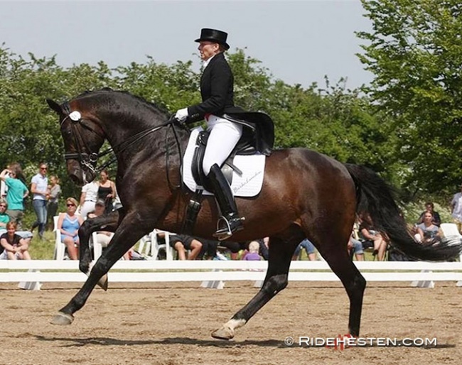 Lotte Vagner and Tannenhof's Solero :: Photo © Ridehesten