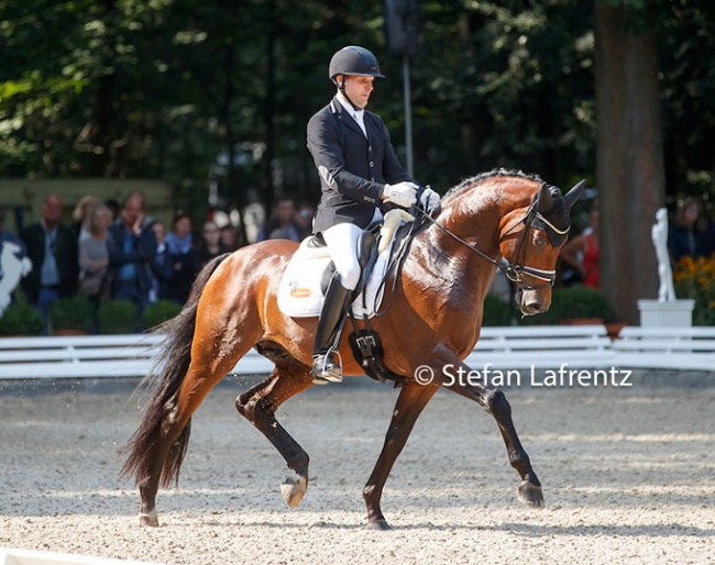 Matthias Bouten and Lord Nunes at the 2017 Bundeschampionate :: Photo © Stefan Lafrentz