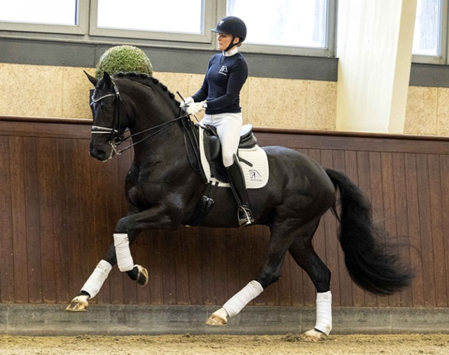 Nanna Skodborg Merrald on Blue Hors Kingston :: Photo © Blue Hors