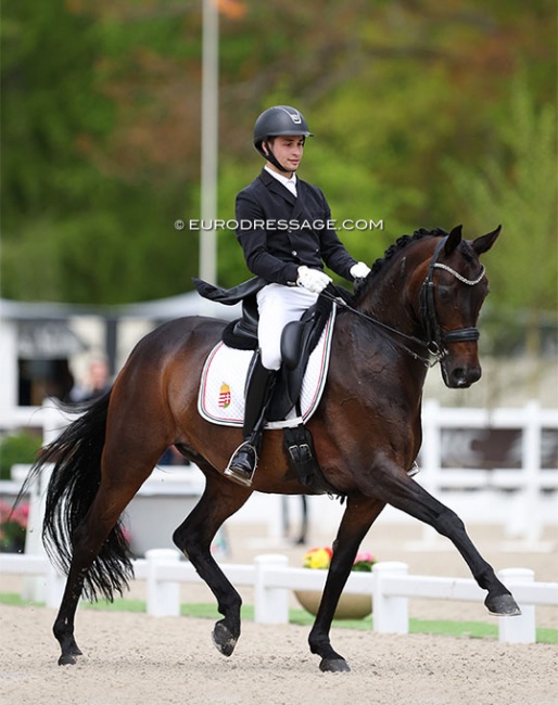 Benedek Pachl and Donna Friderika at the 2023 CDIO Compiegne :: Photo © Astrid Appels