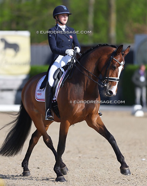 Karoline Rohmann and Aagaardens Lianne at the 2022 CDI Sint-Truiden :: Photo © Astrid Appels