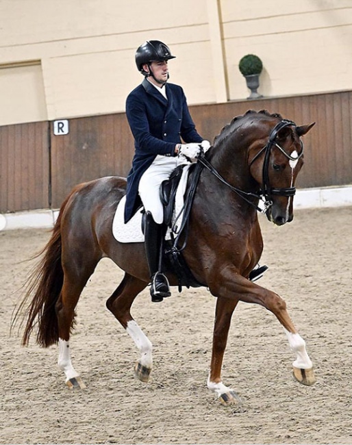 Gonzalo Castillo Arroyo and Berill Szoke Toth's Qatar at the 2023 CDN Ankum :: Photo © Mhisen