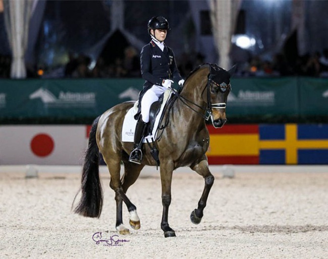 Felicitas Hendricks and Drombusch at the 2024 CDI Wellington :: Photo © Sue Stickle