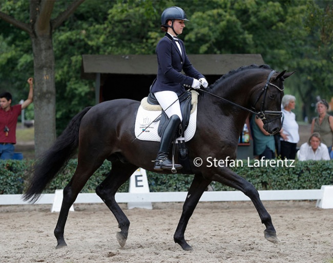 Lena Gunnel and a 3-year old Helium at the 2016 Trakehner Young Horse Championships in Hanover :: Photo © Stefan Lafrentz