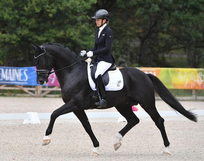 Jessica Michel and My Toto VDT at the 2021 French Young Horse Championships :: Photo © Les Garennes