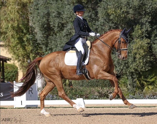 Natasja van den Bogaert on Hove's Zako at the 2023 CDI Jerez de la Frontera :: Photo © ABR Fotografie