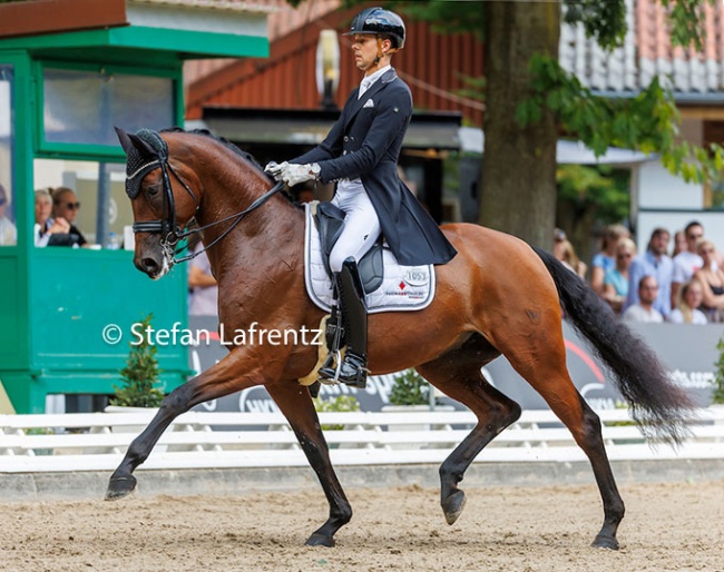 Thomas Schulze and Forever Valentine NRW at the 2022 Bundeschampionate :: Photo © Stefan Lafrentz