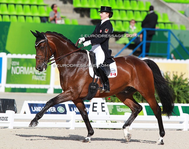 Belinda Trussell and Anton at the 2014 World Equestrian Games in Caen :: Photo © Astrid Appels