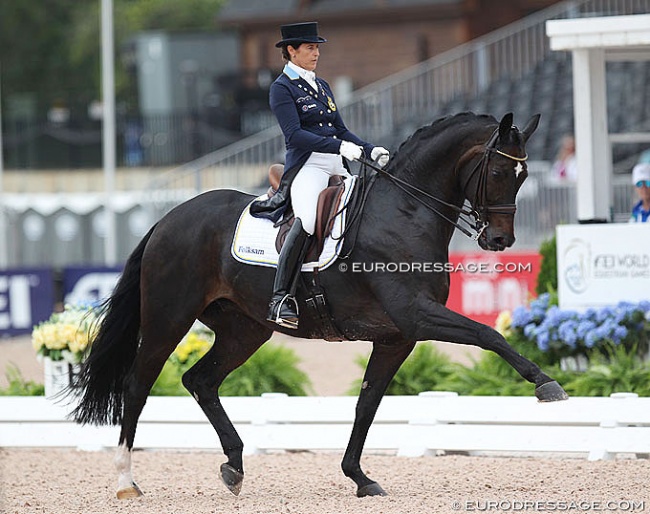 Don Auriello at the 2018 World Equestrian Games in Tryon :: Photo © Astrid Appeks