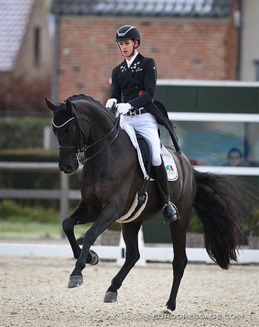 Moritz Treffinger and Superstition at the 2022 CDI Opglabbeek :: Photo © Astrid Appels