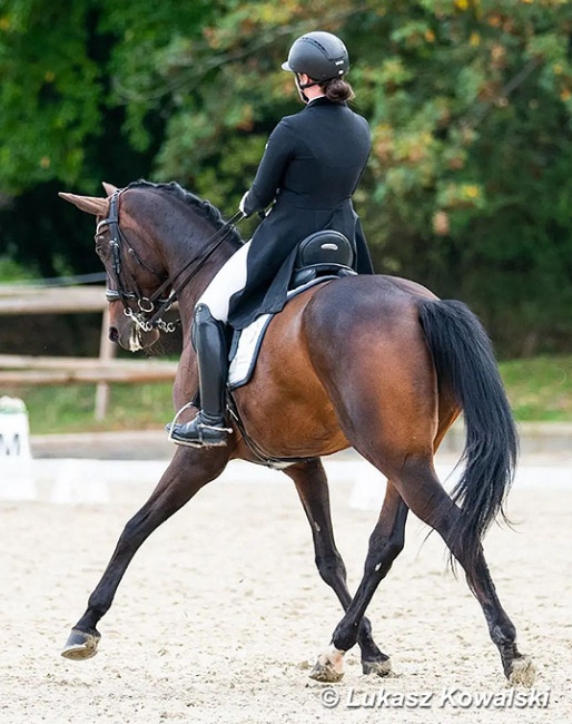 Madlin Zott and FBW Quadrofina P at the 2023 CDI Troisdorf :: Photo © Lukasz Kowalski