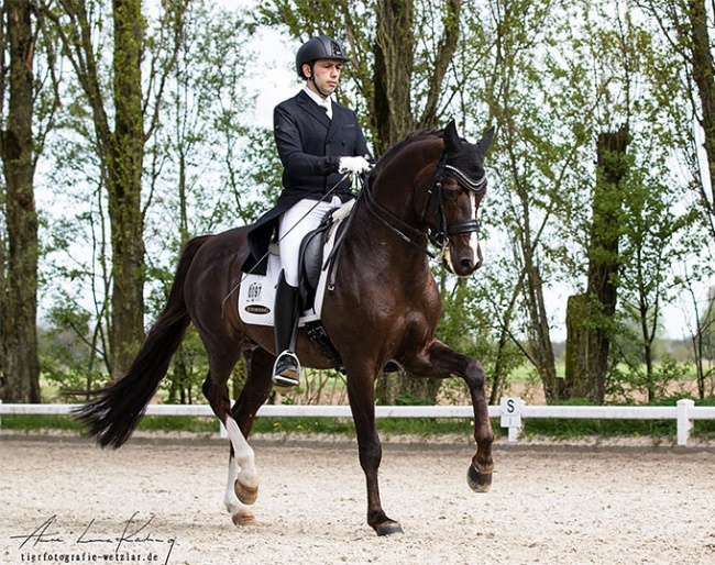 Manuel Dominguez and Golden Romance Malleret PS at the 2024 CDN Hamminkeln :: Photo © Wetzlar