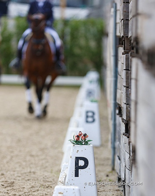 The "P" for Progress in our sport? :: Photo © Astrid Appels