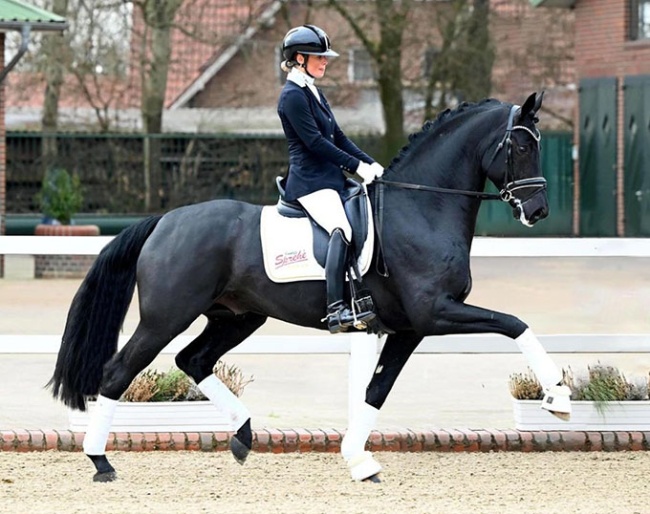 Beatrice Arturi and Dream Royal :: Photo © Gestut Sprehe
