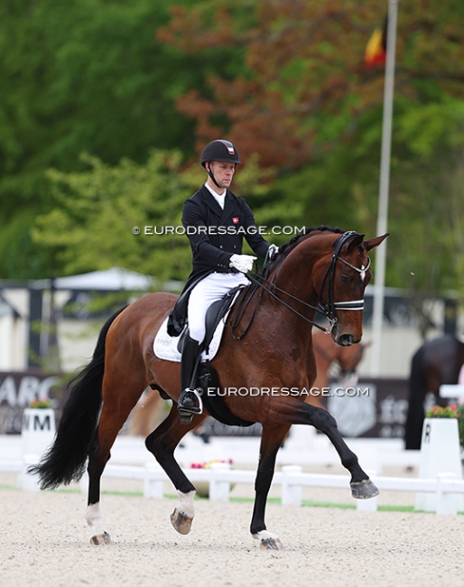 Daniel Bachmann Andersen and Vayron at the 2024 CDIO Compiegne :: Photo © Astrid Appels