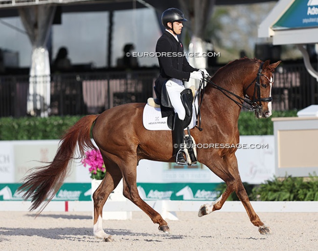 Alexander Yde Helgstrand and Eye Catcher at the 2024 CDI Wellington :: Photo © Astrid Appels