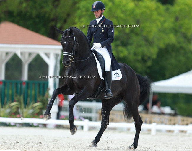 Marc Boblet and Noble Dream at the 2015 CDI Compiegne :: Photo © Astrid Appels