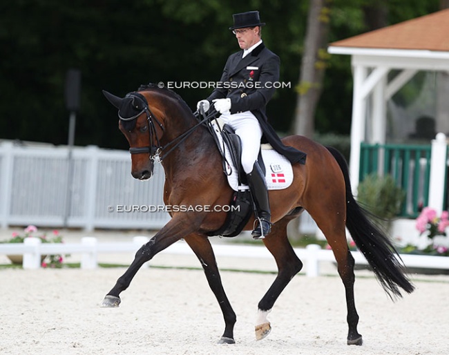 Anders Dahl and Sir Donato at the 2017 CDI Compiegne :: Photo © Astrid Appels