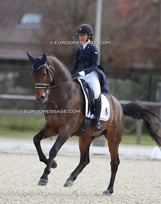 Shanna Baars and Fernando at the 2022 CDI Opglabbeek :: Photo © Astrid Appels