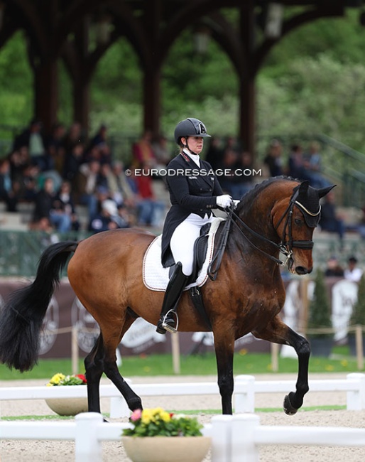 Evelyn Eger and Westminster in the FEI Nations' Cup at the 2023 CDIO Compiegne :: Photo © Astrid Appels