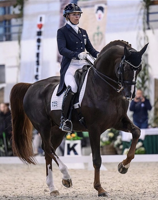 terhi Stegars and Bartlgut's Quadrofilius at the CDI-W Motesice :: Photo © Sona Nikova