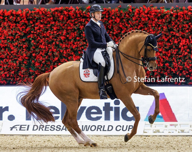 The iconic red flower background at the World Cup qualifier in Basle (SUI) :: Photo © Stefan Lafrentz