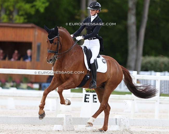 Liezel Everars and Vigo Gold NA at the 2024 CDIO Compiegne :: Photo © Astrid Appels
