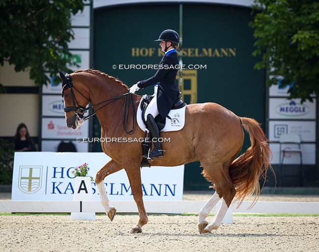 Nanna Merrald and Blue Hors Zepter at the 2024 CDI Hagen, the June Edition :: Photo © Astrid Appels