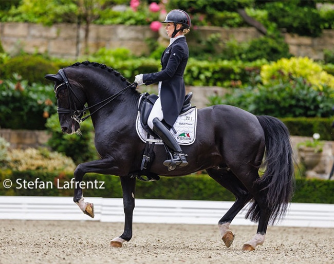 Isabel Freese and Total Hope at the 2024 CDI Kronberg :: Photo © Stefan Lafrentz