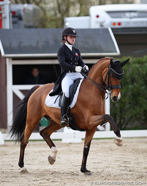 Lea Torabi on Bergåkras Amaranth at the 2024 CDI Sint-Truiden :: Photo © Astrid Appels