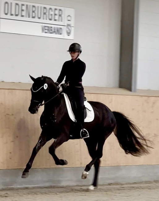 Alexa Westendarp presenting Sönke Rothenberger's Gia (by Glamourdale - De Niro) in the mare performance test