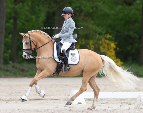 Feline Niessen on Diamond Blue at the 2024 CDIO Compiegne :: Photo (c) Astrid Appels