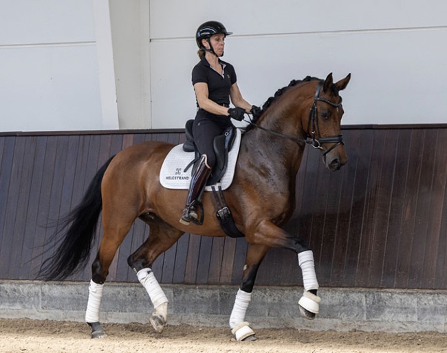 Valvera Sunday (by Valverde x Sezuan x Don Frederico)