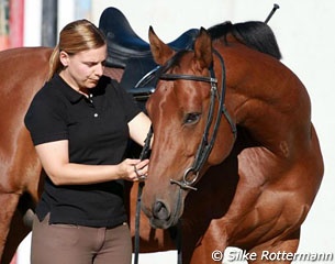 No noseband :: Photo © Silke Rottermann